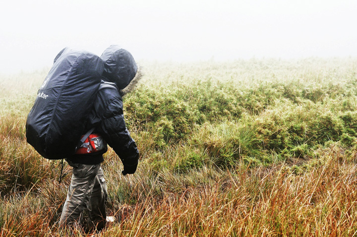 Qumbre Creatives Hiker at Mt Pulag, Kabayan, Benguet